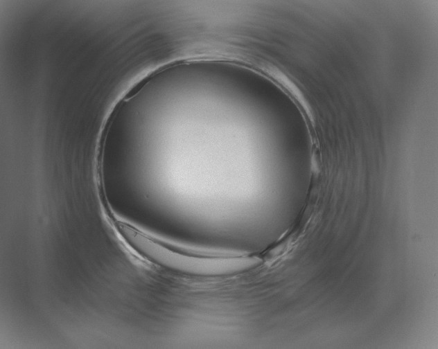 X0000073981485200609111755