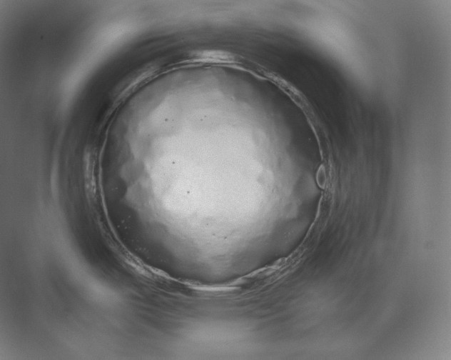 X0000073981487200609111755