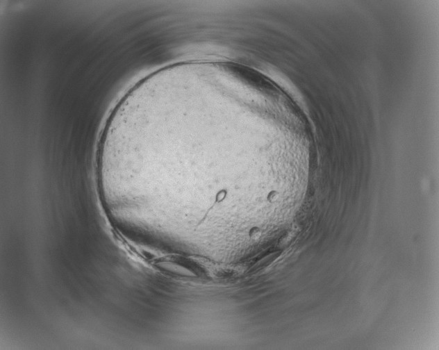 X0000073981488200609111755