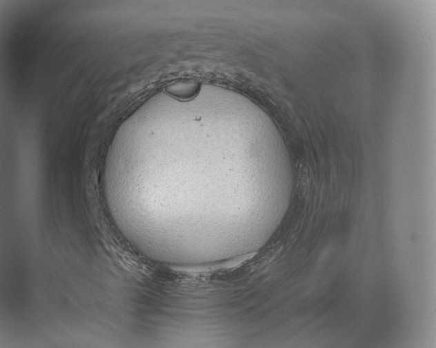 X0000073981489200609111754