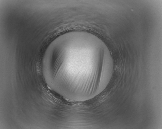 X0000073981490200609111754