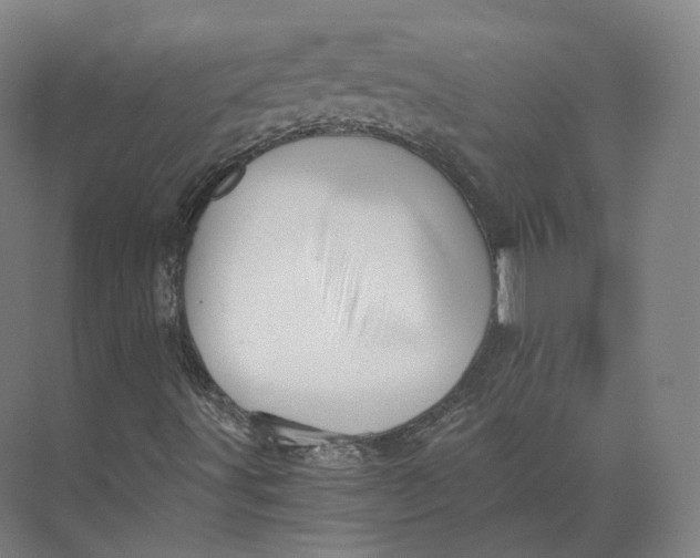 X0000073981491200609111754