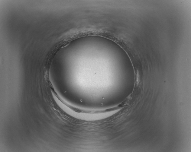 X0000073981492200609111754