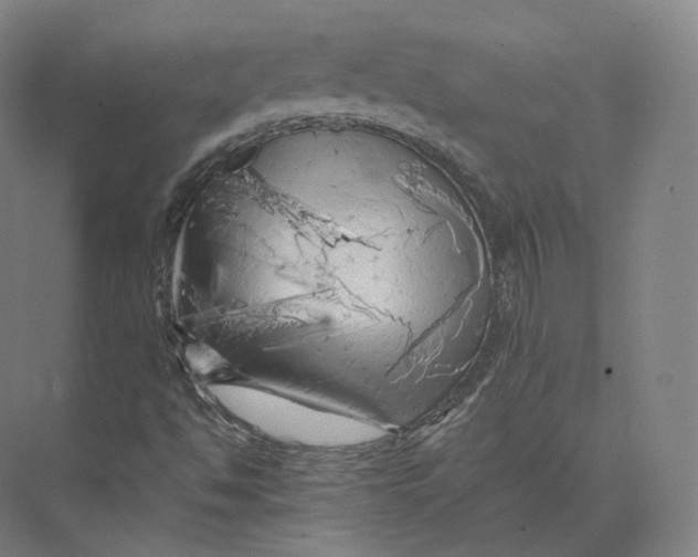 X0000073981494200609111754