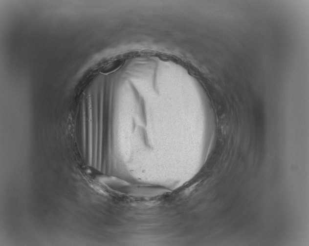 X0000073981495200609111754