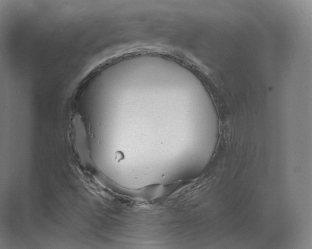 X0000073981496200609111754