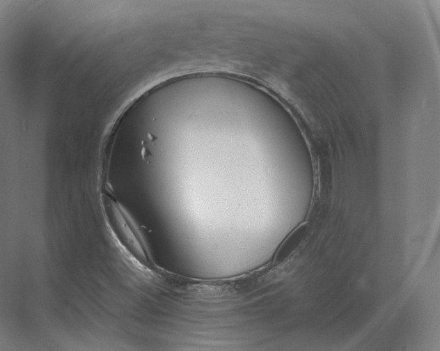 X0000073981500200609111754