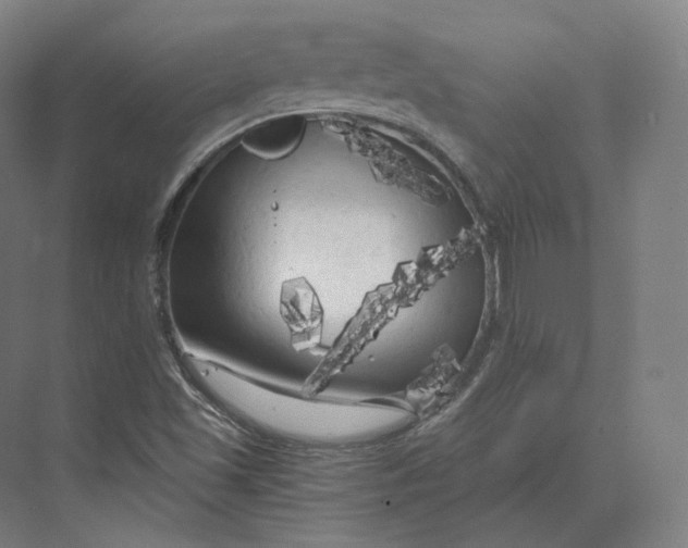 X0000073981501200609111754