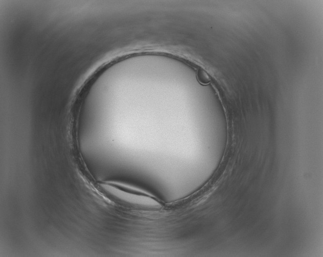 X0000073981502200609111754