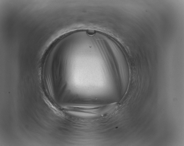 X0000073981503200609111754