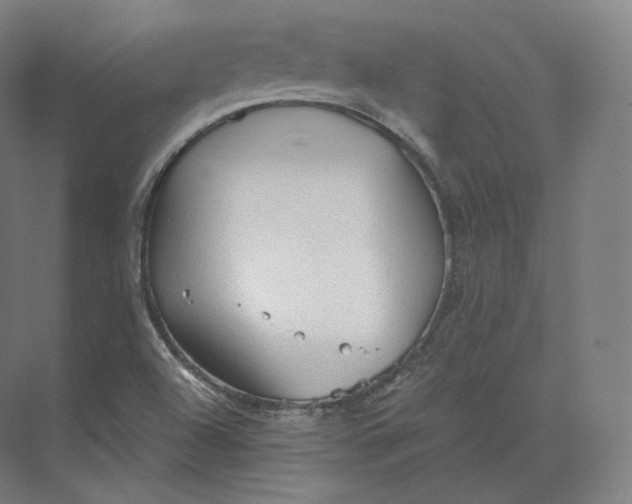 X0000073981504200609111754