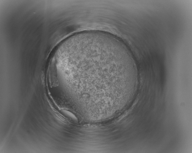 X0000073981505200609111754