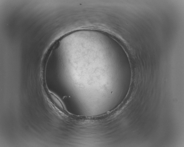 X0000073981506200609111754