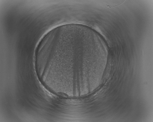 X0000073981508200609111754