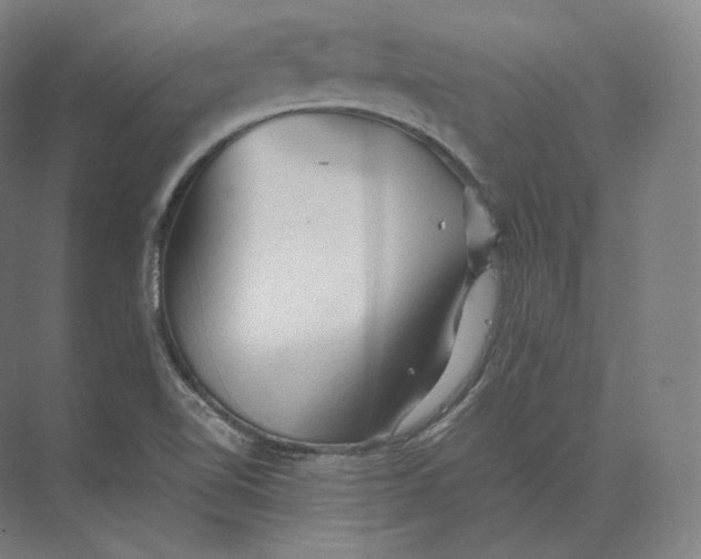 X0000073981510200609111754