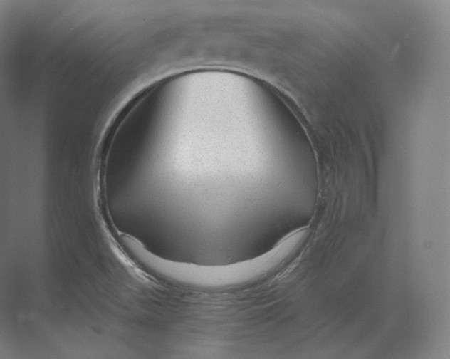 X0000073981511200609111754