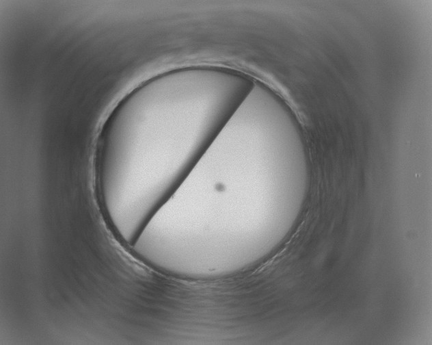 X0000073981512200609111754