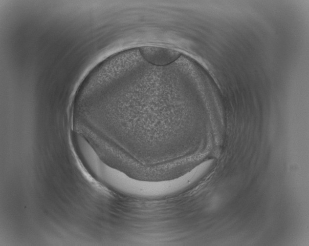 X0000073981515200609111754