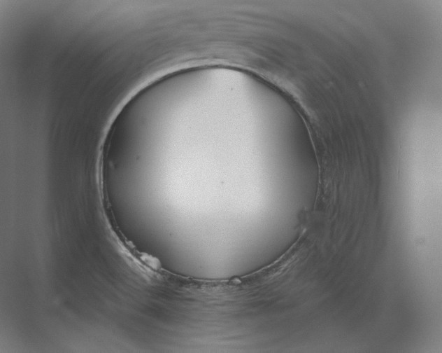 X0000073981516200609111754