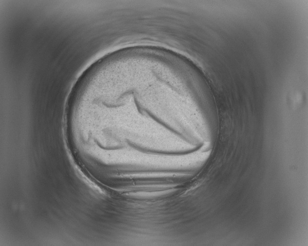 X0000073981518200609111754