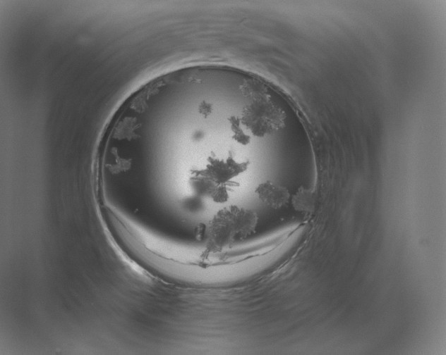 X0000073981519200609111754