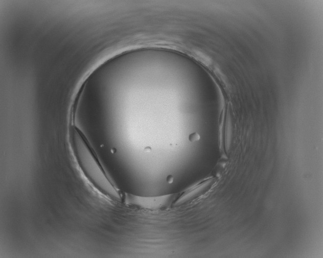 X0000073981520200609111754