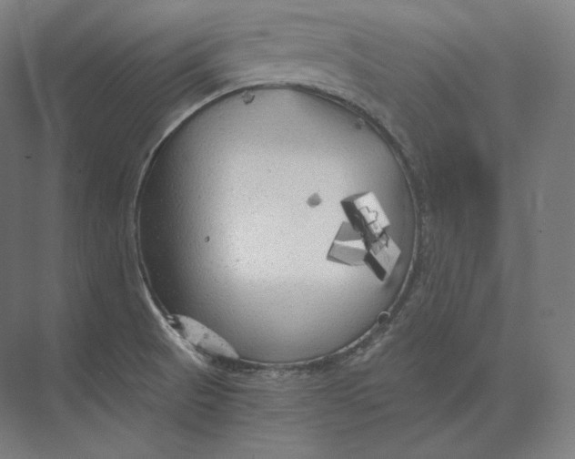 X0000073981521200609111754