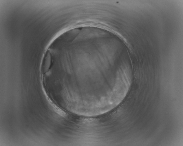 X0000073981522200609111754