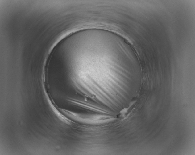 X0000073981523200609111754