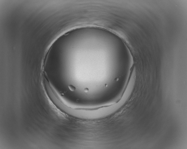 X0000073981524200609111754