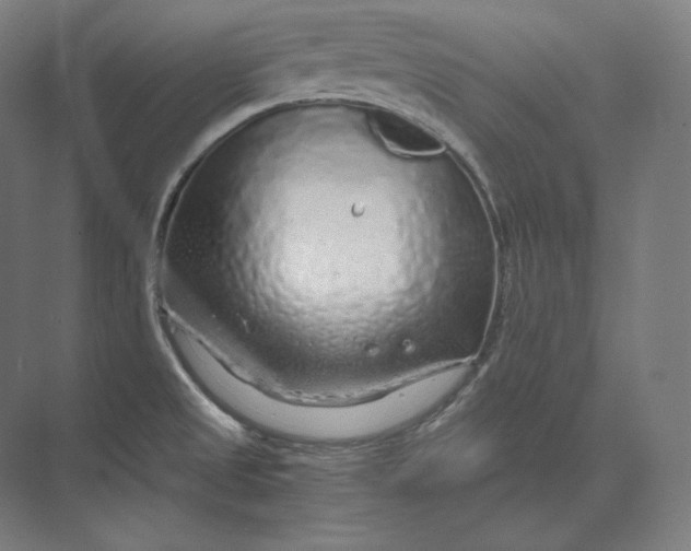 X0000073981525200609111754