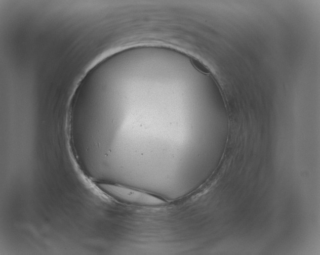 X0000073981526200609111754