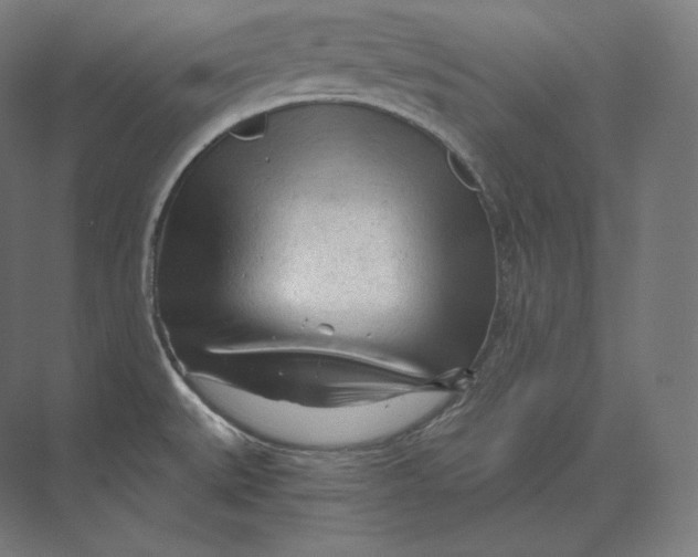 X0000073981527200609111755