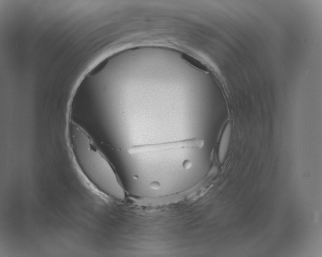 X0000073981528200609111755