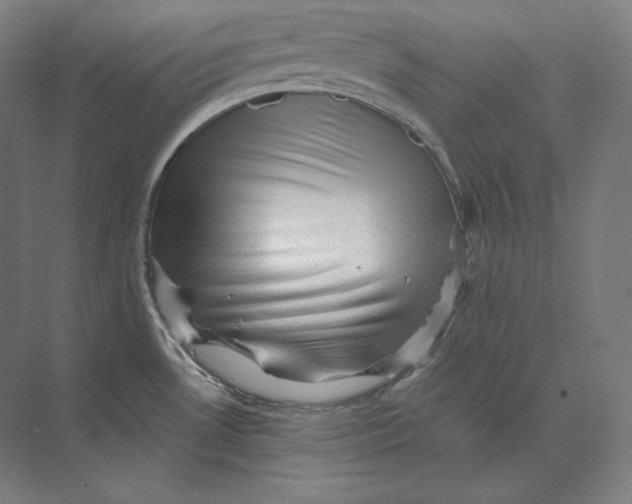 X0000073981530200609111755