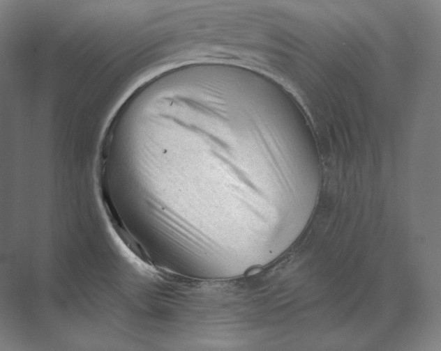 X0000073981531200609111755