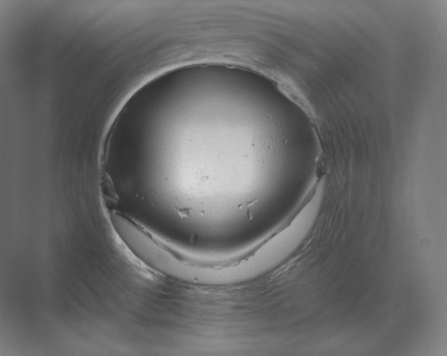 X0000073981532200609111755