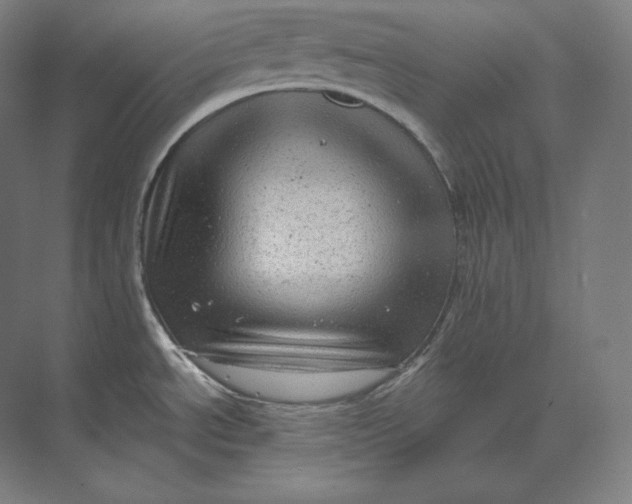 X0000073981534200609111755