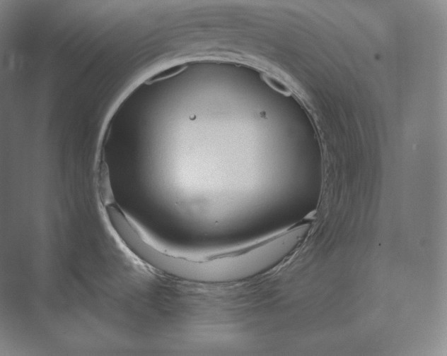 X0000073981536200609111755