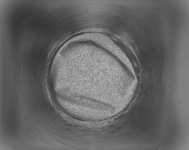 X0000073980001200609181728