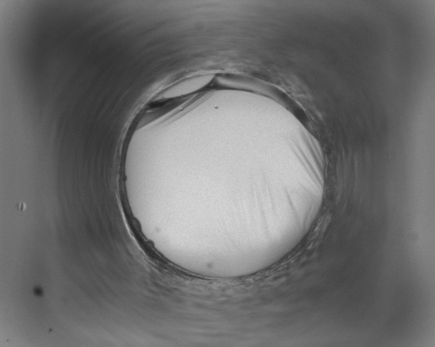 X0000073980003200609181728