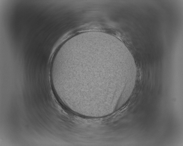 X0000073980004200609181728