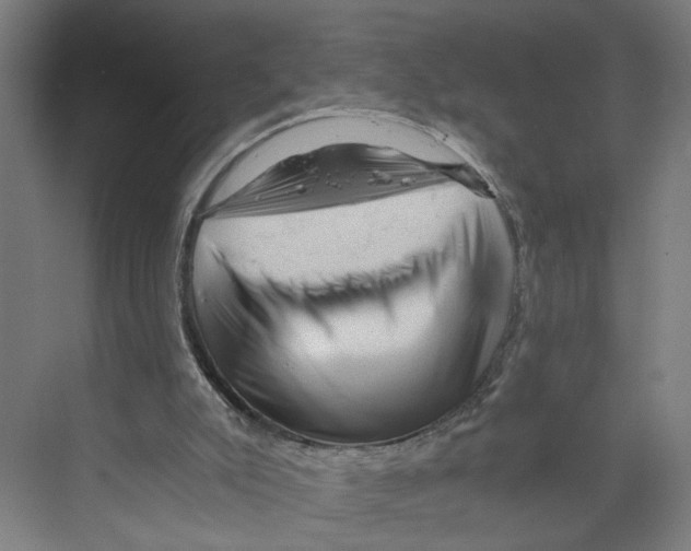 X0000073980007200609181728