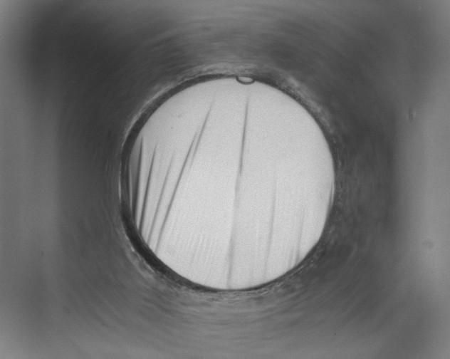 X0000073980011200609181728