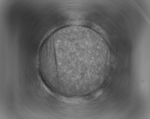 X0000073980012200609181728