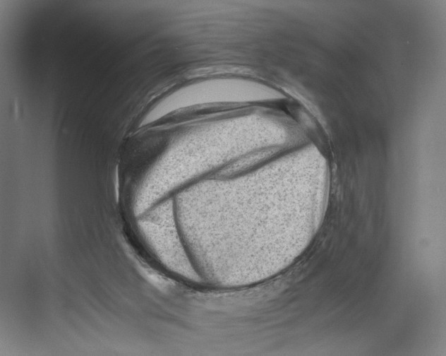 X0000073980013200609181728