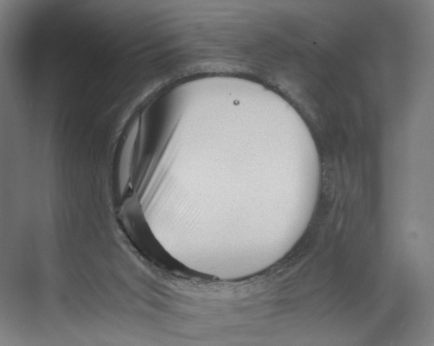 X0000073980015200609181728