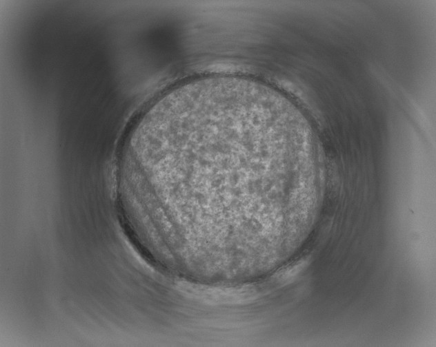 X0000073980016200609181728