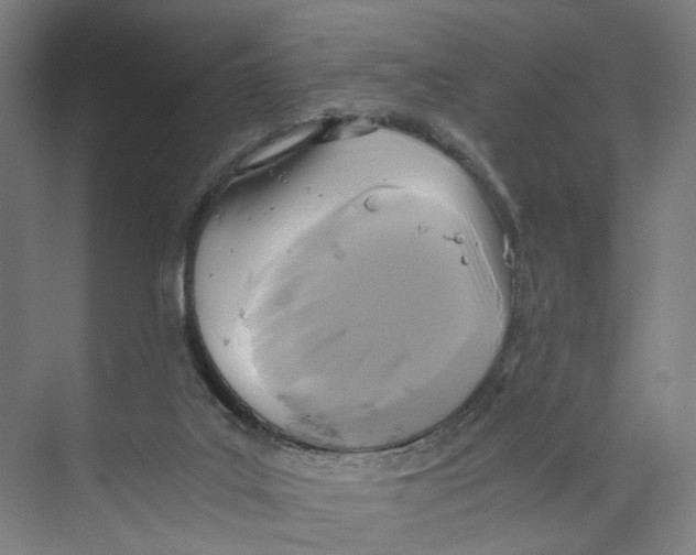 X0000073980019200609181728