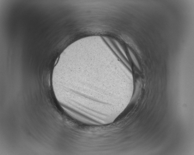 X0000073980021200609181728